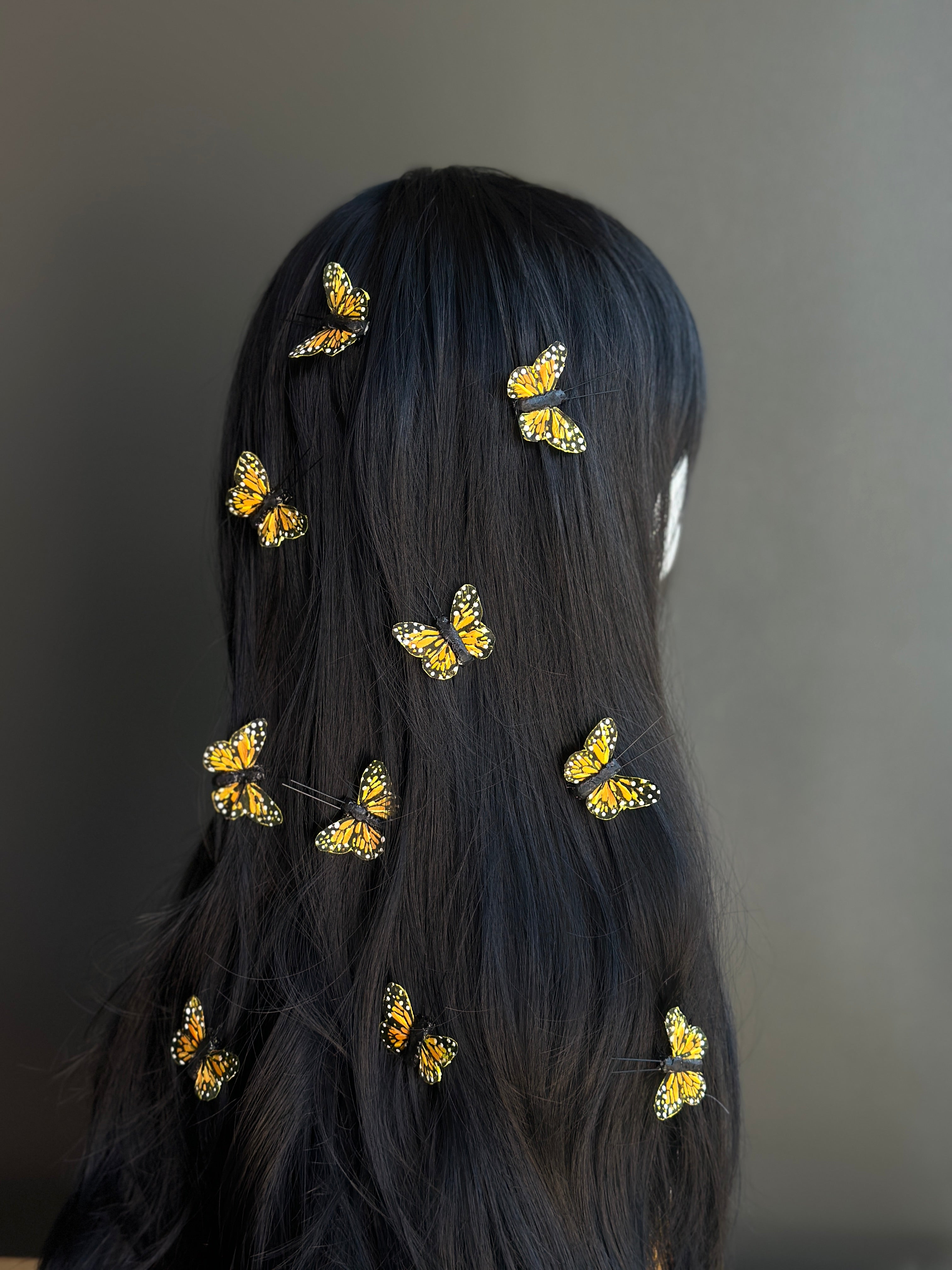 Butterfly Hair Clips - Set