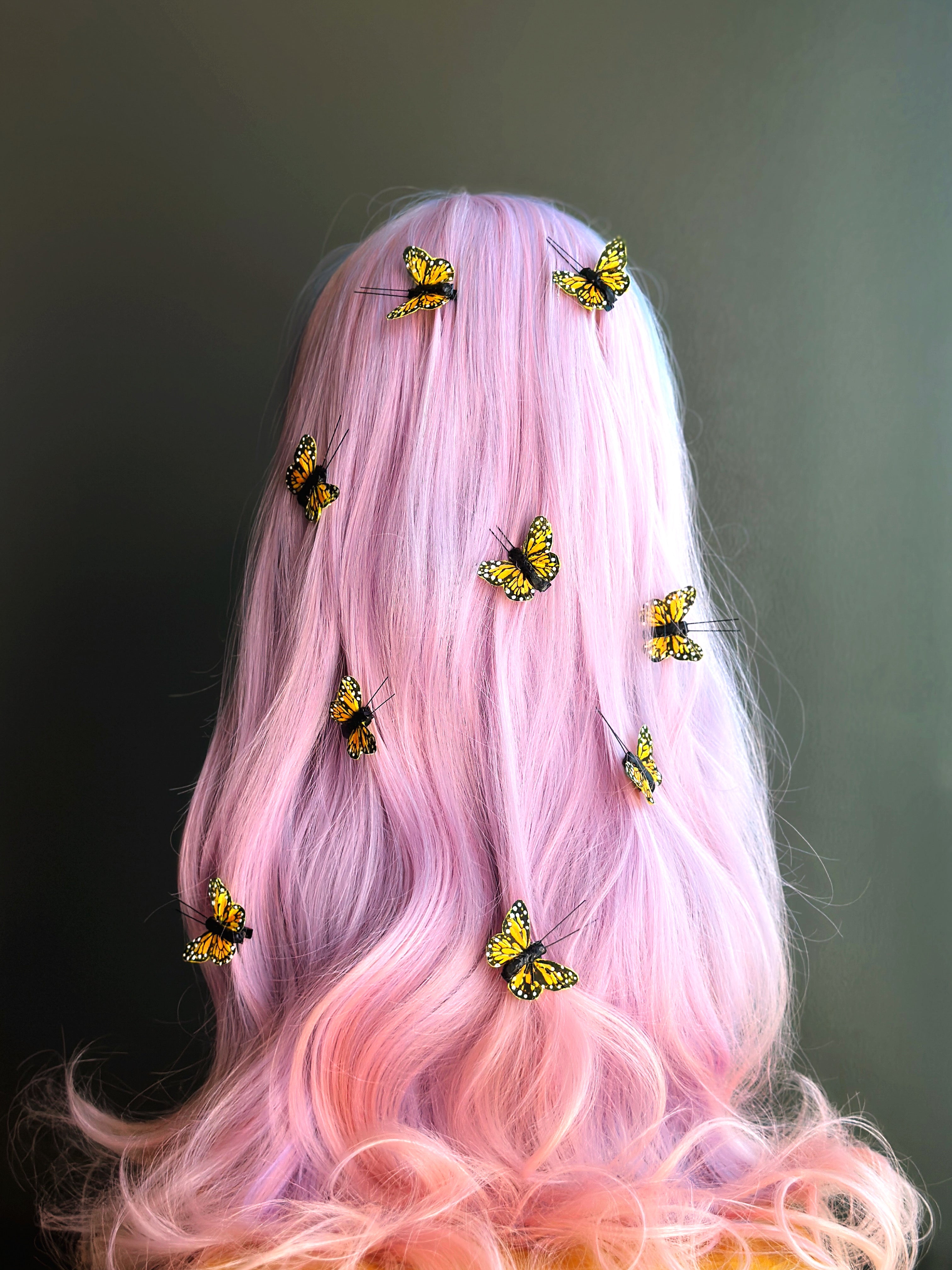 Butterfly Hair Clips - Set