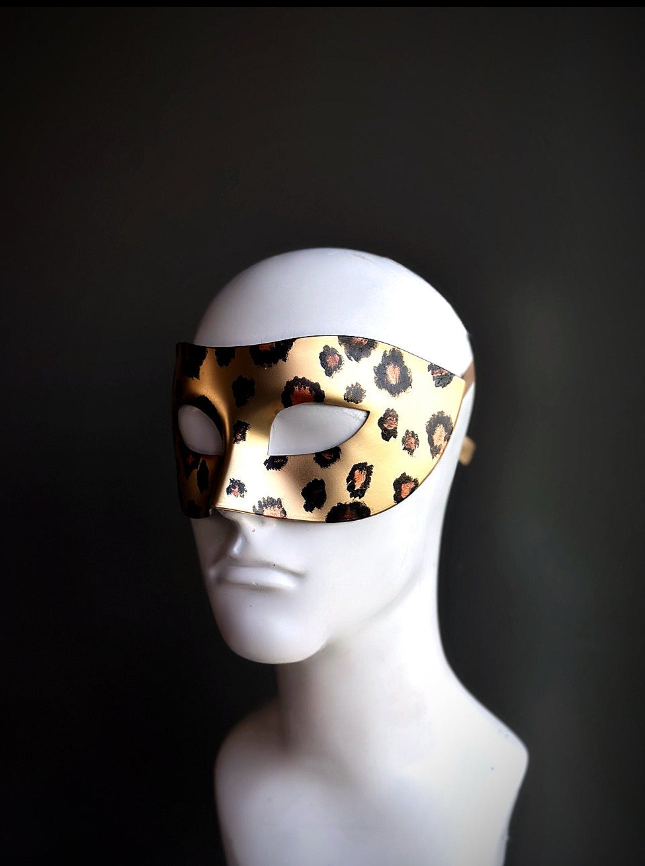 Leopards in the Night