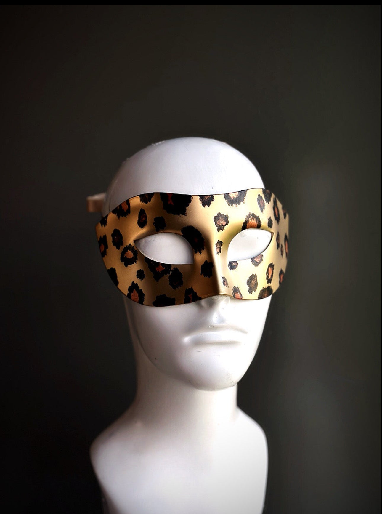 Leopards in the Night