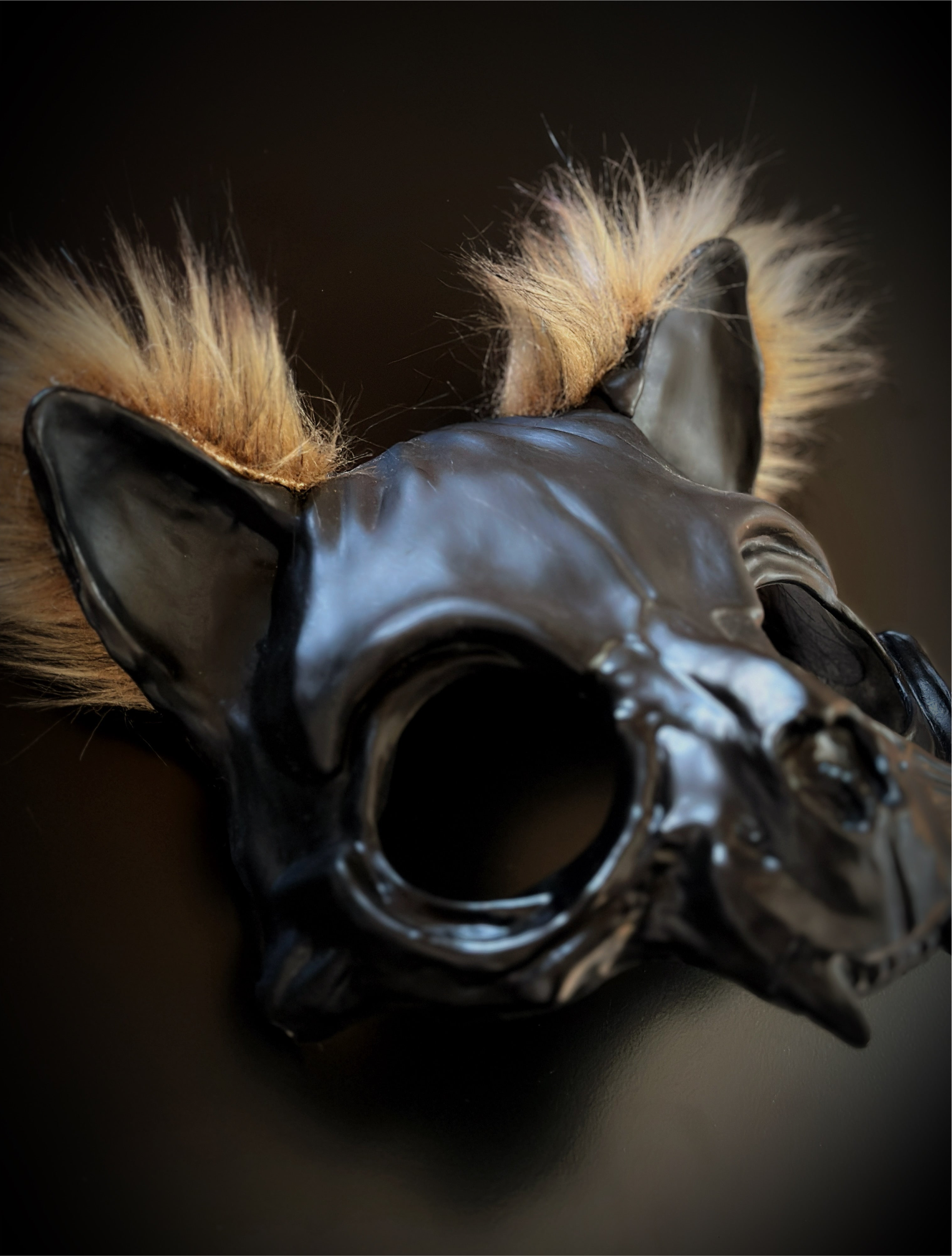 Shadow Fang Mask