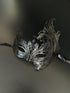 Elegant black filigree masquerade mask inspired by the Black Swan, featuring ornate wings and fine metalwork.