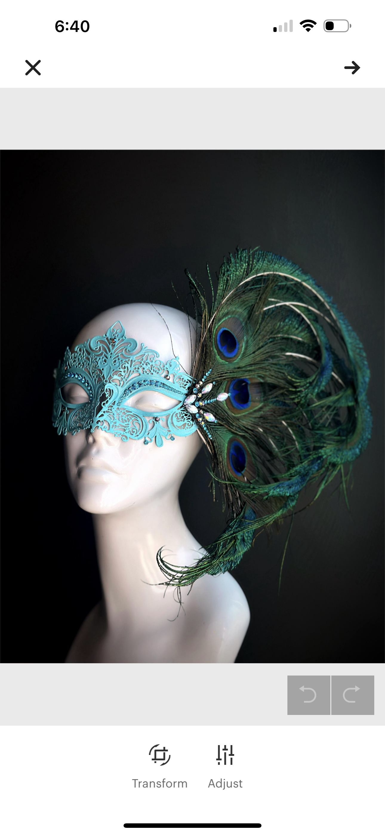 Peacock Elegance - Turquoise