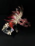 Roman masquerade mask set with feather plume and red lace accent for formal costume events.