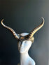 Silver ram horn headdress with sculpted details, designed for cosplay, masquerade, and fantasy costumes
