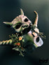 Devil horn and floral horn couples masquerade masks with moss, gold-green finish, and dark fantasy accents