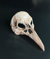 Gothic Halloween couples mask set with horned scale mask and skull plague doctor mask.